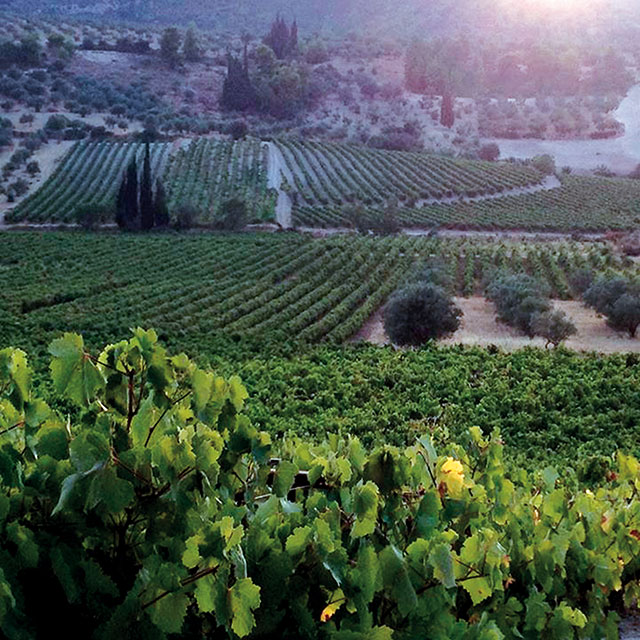 Nemean Wine Tasting