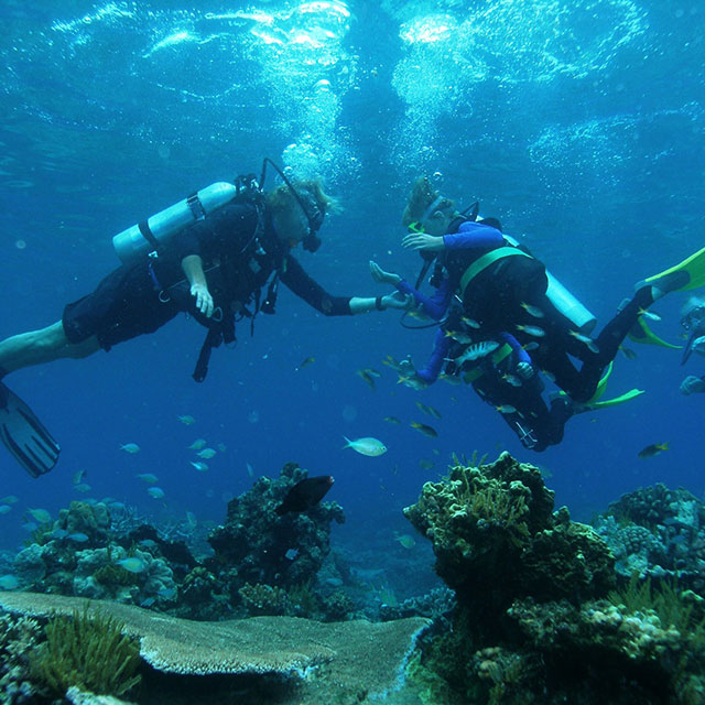Scuba Diving in Argolida