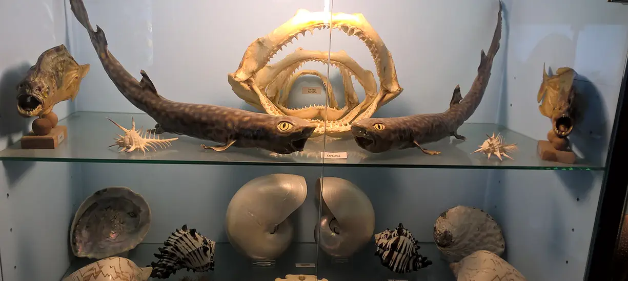 Nafplio Museums Lygourio Natural History