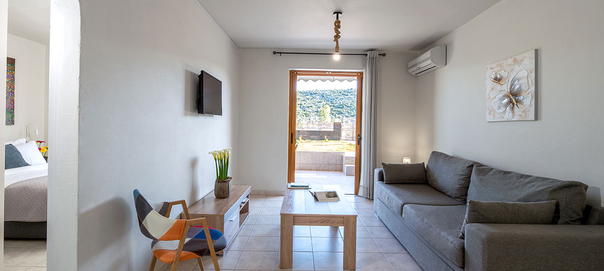 One Bedroom Apartment